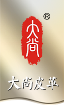 国产精品麻豆一区二区皮革